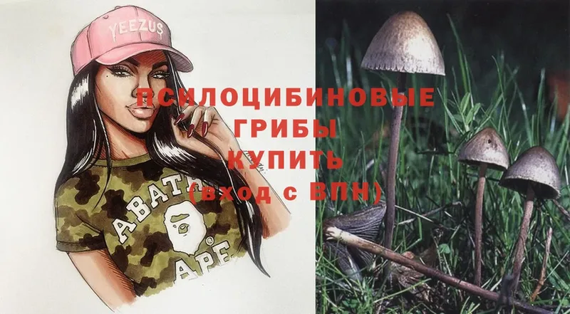 Псилоцибиновые грибы Psilocybine cubensis  где продают   Покачи 